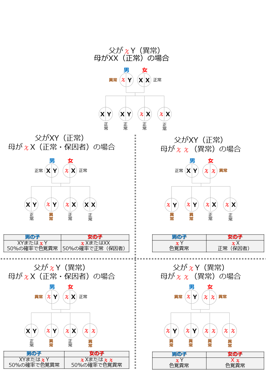 遺伝